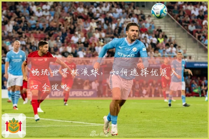 畅玩世界杯滚球，如何选择优质入口全攻略