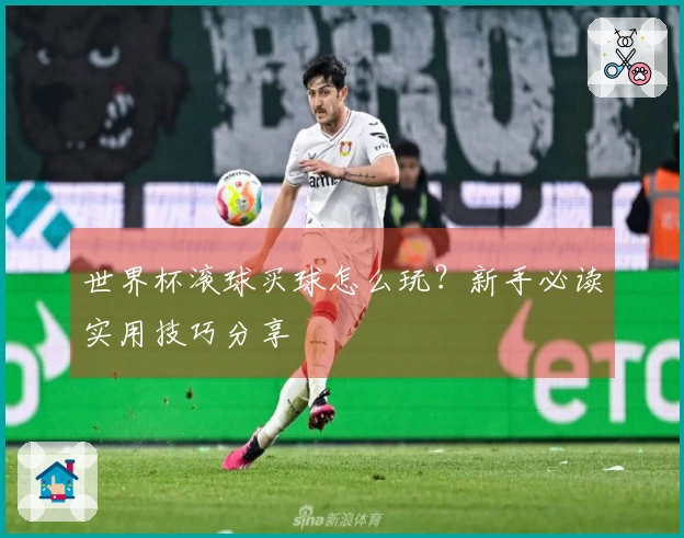 世界杯滚球买球怎么玩？新手必读实用技巧分享