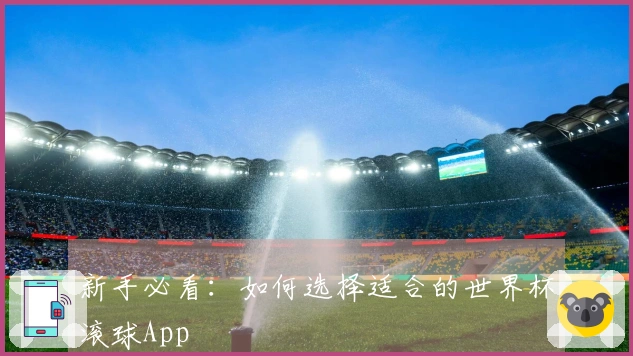 新手必看：如何选择适合的世界杯滚球App