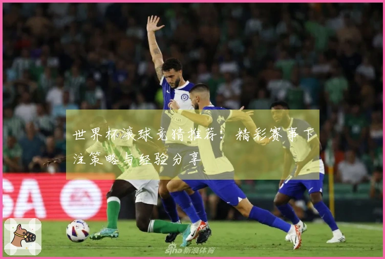 世界杯滚球竞猜推荐：精彩赛事下注策略与经验分享