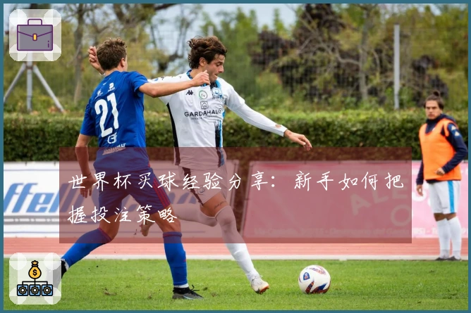 世界杯买球经验分享：新手如何把握投注策略