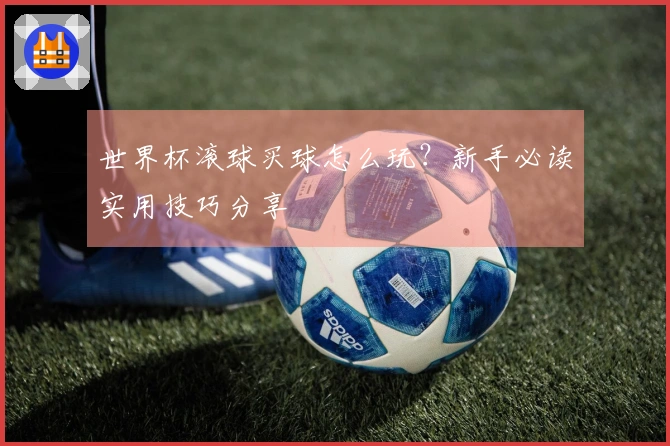 世界杯滚球买球怎么玩？新手必读实用技巧分享