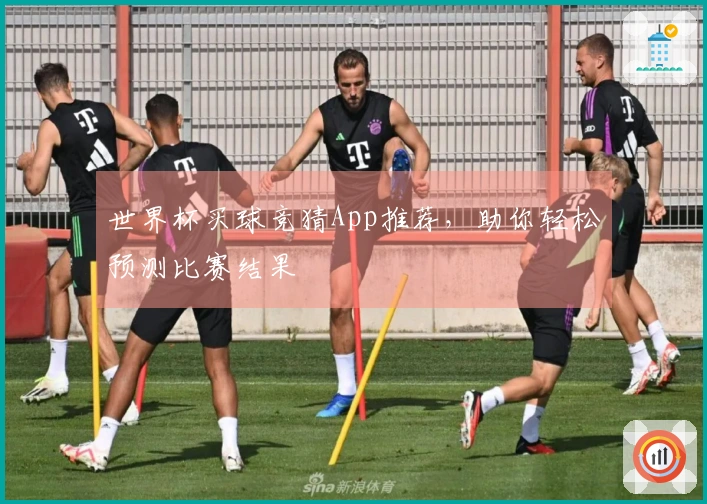 世界杯买球竞猜App推荐，助你轻松预测比赛结果