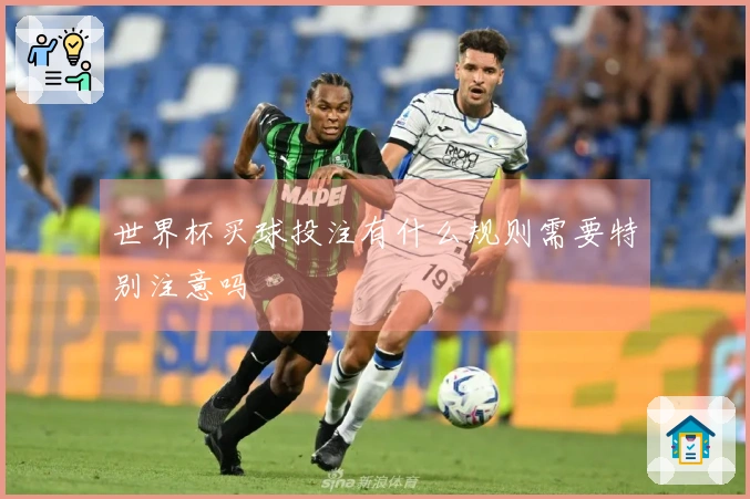 世界杯买球投注有什么规则需要特别注意吗