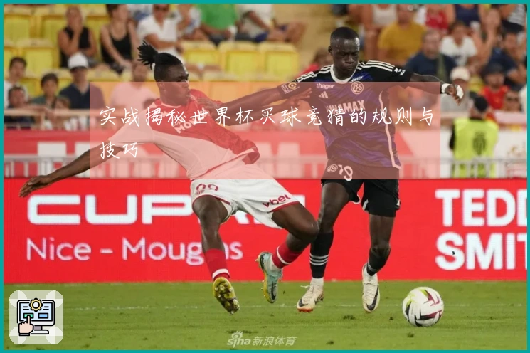 实战揭秘世界杯买球竞猜的规则与技巧
