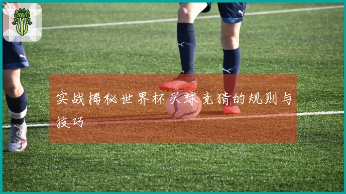 实战揭秘世界杯买球竞猜的规则与技巧